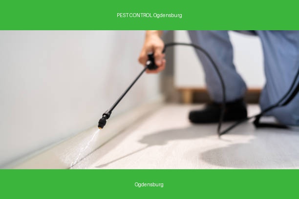 PEST CONTROL Ogdensburg